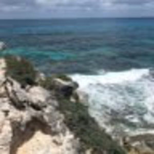 Meet your Posher, Lowell